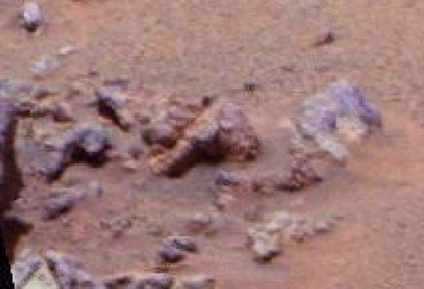 Ông Martin cho rằng, một vật thể trên sao Hỏa trông giống hình dáng con người nằm trên bề mặt sao Hỏa. Sinh vật này có đầu, chân tay và đôi mắt to.