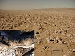 Theo các chuyên gia, vi khuẩn lam là một trong những sinh vật đầu tiên có mặt trên hành tinh xanh. Chúng xuất hiện khi bầu khi quyển của Trái Đất hoàn toàn không tồn tại những điều kiện phù hợp với sự sống như ngày nay.