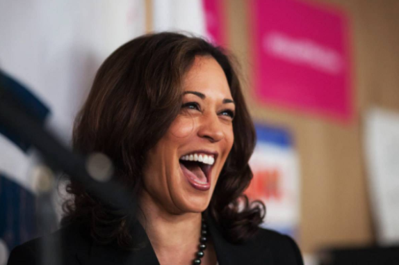 Trước đó, vào tháng 1/2019, Thượng nghị sĩ của Đảng Dân chủ Kamala Harris chính thức tuyên bố sẽ ra tranh cử Tổng thống Mỹ vào năm 2020. Ảnh: GS.