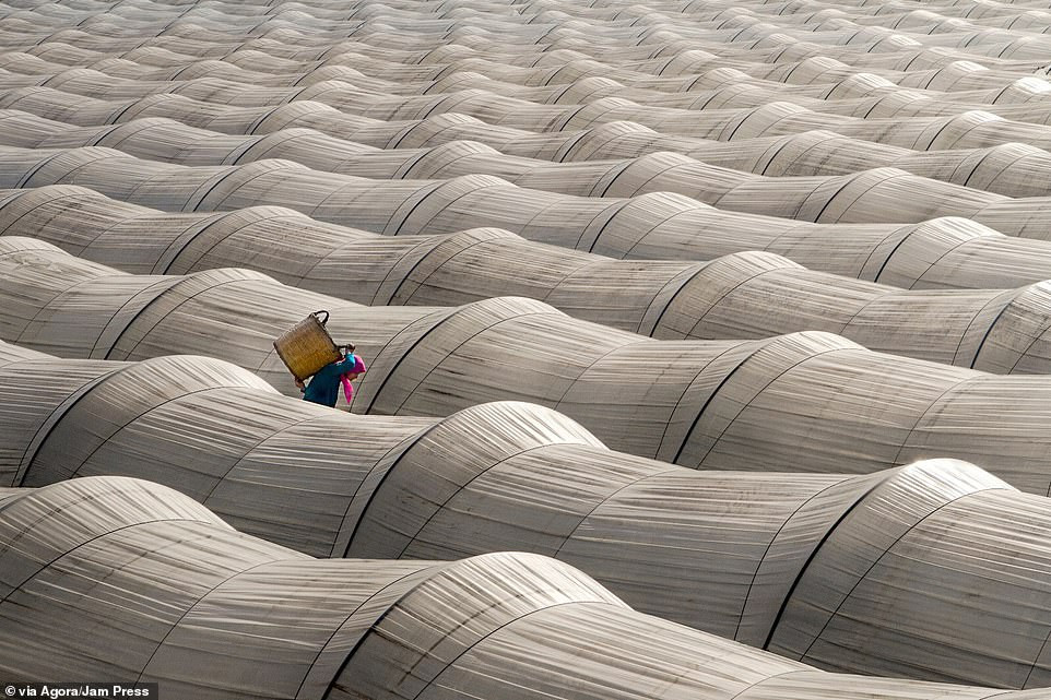 Bức ảnh đầy mê hoặc này được Leyla Emektar chụp tại vùng Aegean, Thổ Nhĩ Kỳ. 