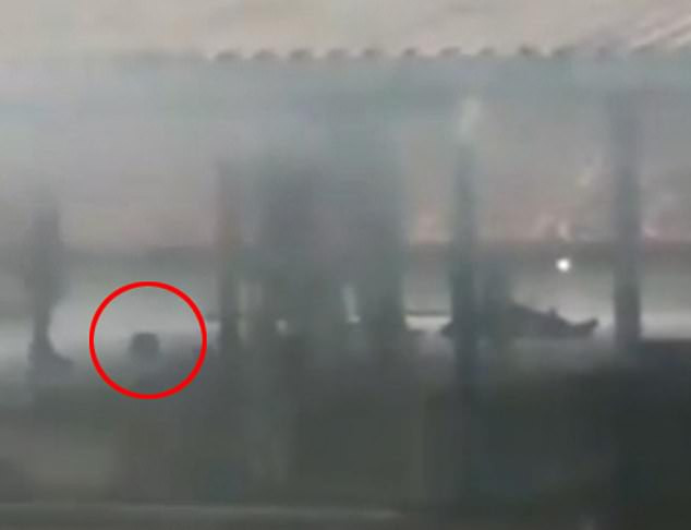 "Chúng tôi phát hiện các thi thể không đầu trong nhà tù. Số còn lại tử vong do ngạt khói. Một băng đảng đã xông vào trại giam, phóng hỏa và sát hại các tù nhân của băng nhóm đối thủ rồi tự kết thúc cuộc tấn công", Giám đốc nhà tù bang Para, Jarbas Vasconcelos, cho hay.