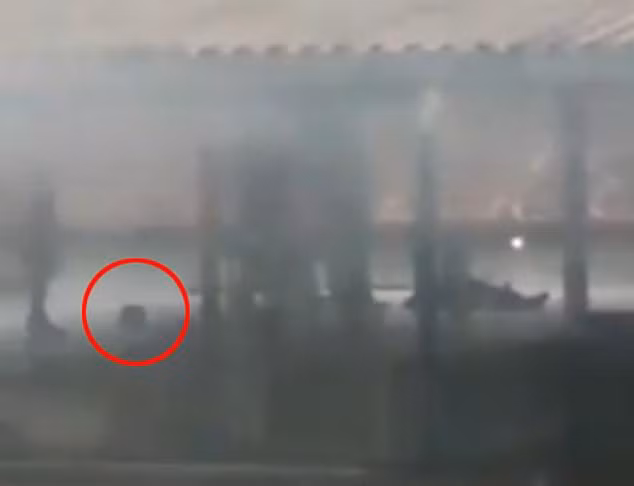 Anh chua cong bo gay soc vu bao loan o nha tu Brazil-Hinh-4