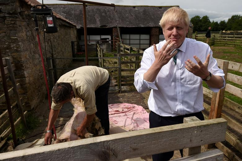 Biểu cảm hài hước của ông Boris sau khi cạo lông cừu trong chuyến thăm trang trại Nosterfield gần Ripon, Bắc Yorkshire, ngày 4/7.