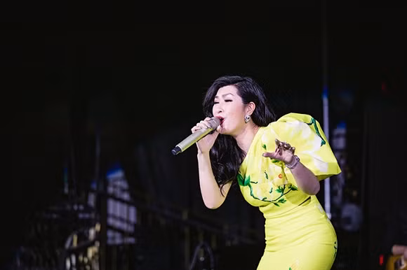 Ca si Nguyen Hong Nhung khoe nhan kim cuong trieu do-Hinh-5