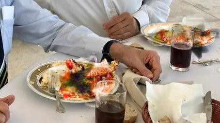 Trong một cuộc phỏng vấn trên truyền hình, ông Shelley cũng giải thích đó là cá hồi và nó có màu sắc tương tự. "Tôi không ăn những thứ đó và chắc chắn không gọi chúng", ông giải thích. Theo Washington Post, ông Shelley thích mối quan hệ thân thiết với Tổng thống Brazil Bolsonaro, và là nhà ngoại giao nước ngoài đầu tiên ông Bolsonaro gặp sau khi đắc cử vào tháng 10/2018.