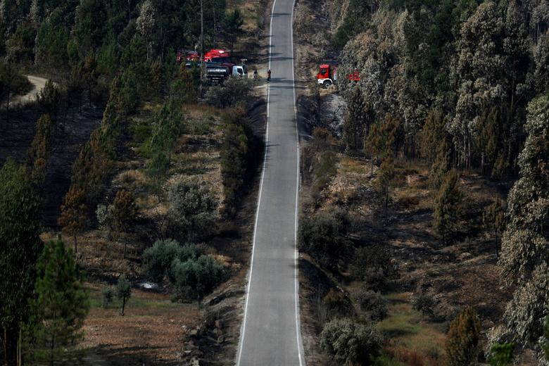 Hơn 300 phương tiện chữa cháy cùng với 13 máy bay cũng được triển khai tham gia quá trình dập lửa.