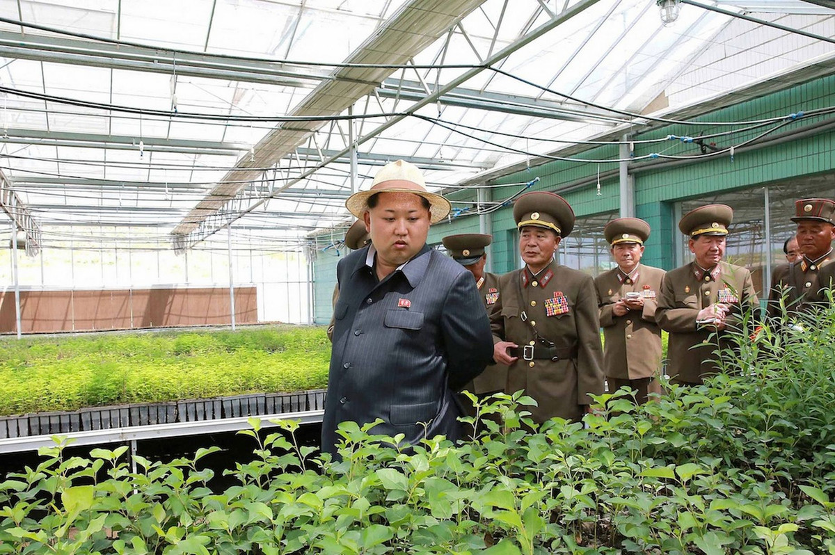 Những chính sách cải cách trong nông nghiệp dưới thời Chủ tịch Kim Jong-un đã giúp nông thôn Triều Tiên có nhiều thay đổi. Dù cuộc sống của nhiều nông dân còn khó khăn nhưng theo Giám đốc Chương trình Lương thực Thế giới của Liên Hợp Quốc (WFP), ông David Beasley, người đã tới thăm Triều Tiên hồi tháng 5/2018, Triều Tiên đang rất nỗ lực trong việc đáp ứng được các tiêu chuẩn dinh dưỡng, và tình trạng đói khát không còn cao như hồi thập niên 1990. Ảnh: Ông Kim Jong-un đi thăm một nông trại kiểu mẫu của Triều Tiên. Ảnh: I.T