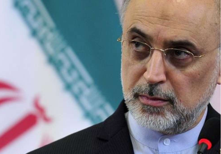 Cùng ngày, người đứng đầu Cơ quan Năng lượng Nguyên tử của Iran Ali Akbar Salehi nói rằng nước này sẽ tiếp tục hoạt động của lò phản ứng hạt nhân nước nặng Arak. Đây là một trong các bước để sản xuất đầu đạn hạt nhân. Ảnh: DNA.