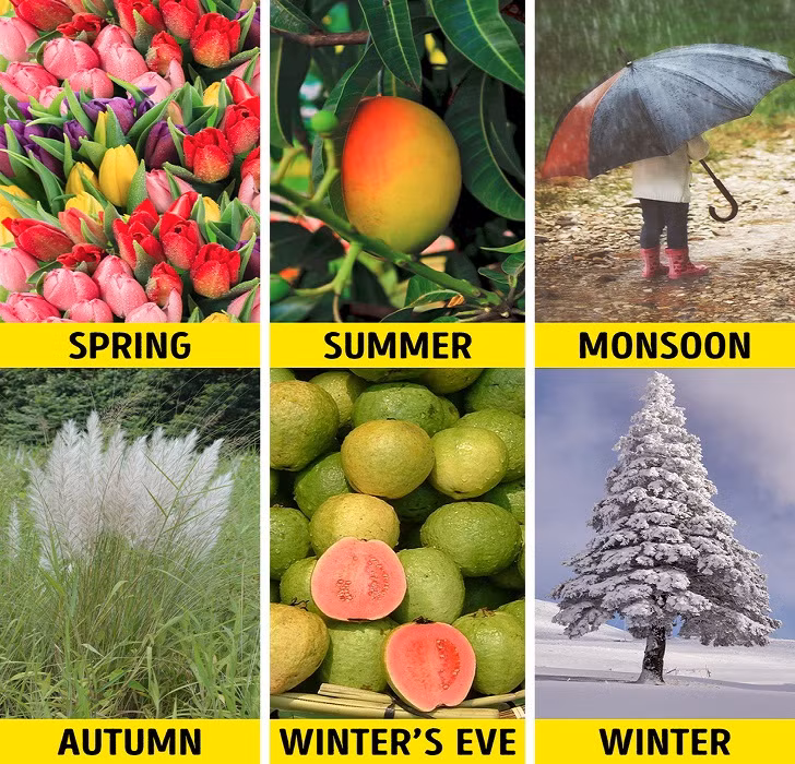 Theo lịch của Ấn Độ, nước này sẽ có 6 mùa trong năm, bao gồm mùa xuân, hạ, mùa mưa, thu, đông, và chuyển đông. Trong đó, mùa xuân bắt đầu từ giữa tháng 2 đến giữa tháng 4; mùa hạ bắt đầu từ giữa tháng 4 đến giữa tháng 6; mùa mưa từ giữa tháng 6 đến giữa tháng 8; mua thu từ giữa tháng 8 đến giữa tháng 10; mùa chuyển đông từ giữa tháng 10 đến giữa tháng 12 và cuối cùng là mùa đông từ giữa tháng 12 đến giữa tháng 2. (Nguồn ảnh: BrightSide)