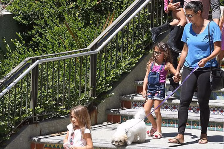 Diem nong 24h: Nhieu PK da khoa o Hai Phong lo sai pham-Hinh-6