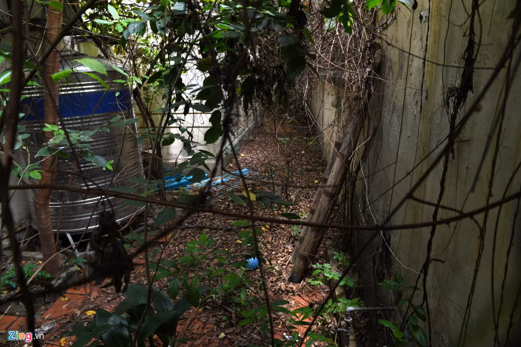 Khu vực phía sân sau của toà biệt thự. Trao đổi với báo chí ngày 3/7, Phó chủ tịch UBND TP Hà Nội Nguyễn Thế Hùng cho biết TP đang rà soát lại việc sử dụng các biệt thự trên địa bàn.