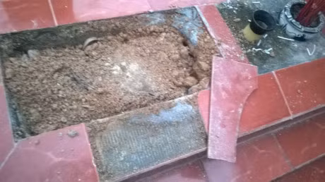 Rung minh loat vu dao trom mo o Viet Nam