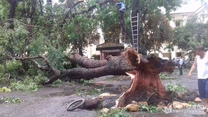 Anh: Duong pho, nha dan tan hoang sau bao so 2 do bo