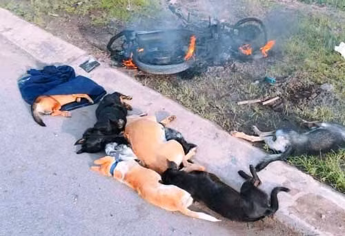 Diem nong 24h: Bat duoc “nghich tu” giet me ruot o Yen Bai-Hinh-2