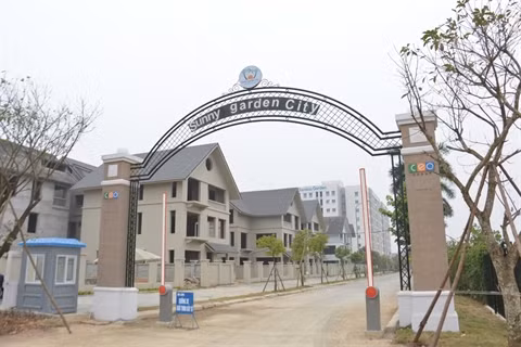 Do thi xanh mat nha giau nguy co chim trong bien nuoc?