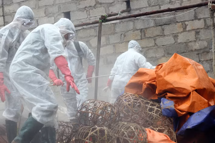 Những dụng cụ chăn nuôi tại ổ dịch cũng được lực lượng chức năng thu gom để tiêu hủy.