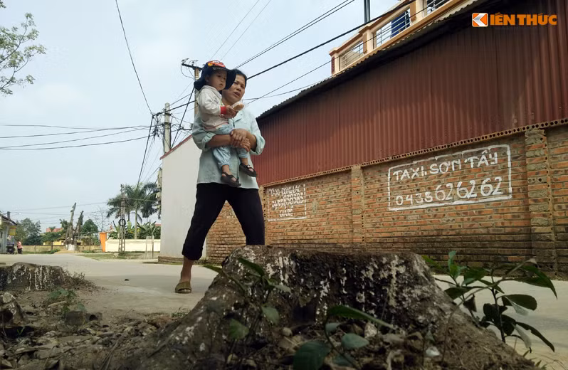 Như Kiến Thức đã đưa tin, dư luận đang xôn xao trước sự việc hàng loạt cây xanh bị chặt hạ trong “chiến dịch giành lại vỉa hè” của Hà Nội, ở liên thôn Yên Lỗ, Cẩm Bào, Kinh Đạ, xã Cẩm Yên (huyện Thạch Thất, Hà Nội). Nhiều người dân cho biết, những cây xanh bị các cơ quan chức năng xã Cẩm Yên “dọn dẹp” có nhiều cây tuổi thọ từ 5-20 năm, gắn liền với cuộc sống sinh hoạt, phát triển của làng xóm nơi đây nhưng vẫn bị chặt hạ khiến nhiều người bức xúc.