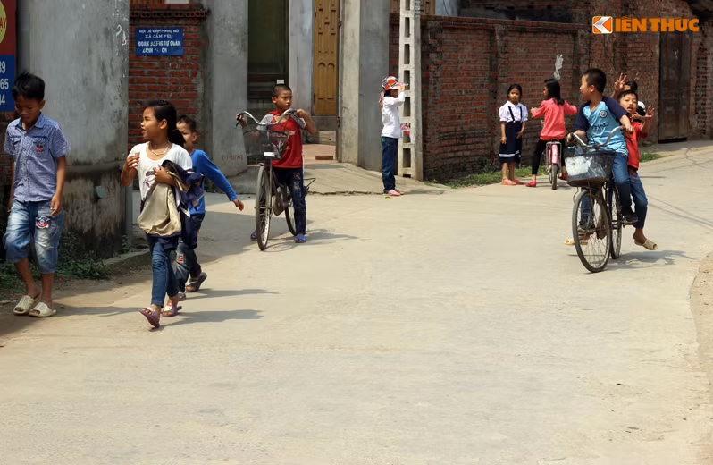 Đường liên thôn xã Cẩm Yên gần như không còn bóng mát nào sau khi hàng loạt cây xanh bị chặt hạ.