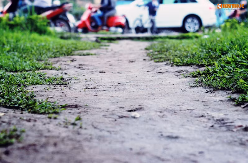 Mỗi ngày bị hàng trăm lượt người đi bộ dẫm đạp nên thảm cỏ xanh ở đây không thể nào mọc nổi.