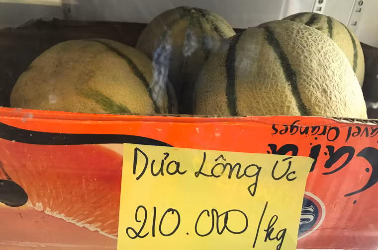 Dưa lông Úc có giá 210.000 đồng/kg, khoảng 2 quả.