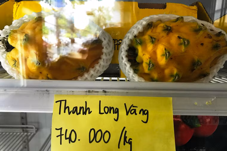 "Đặc sản" thanh long vàng có giá "khủng" 740.000 đồng/kg.