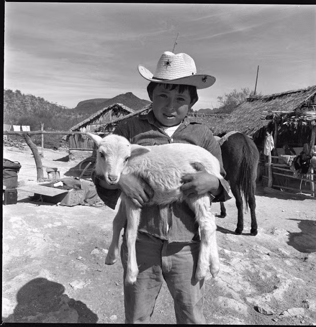 Bé trai nhẹ nhàng ôm một con dê ở Rancho Represito năm 1967.