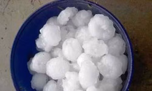 Những viên đá to bằng quả trứng gà được người dân nhặt vào (ảnh: Lan Bùi).