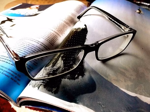 Nhóm Yakuza lớn nhất Nhật Bản Yamaguchi-gumi ra mắt tạp chí Yamaguchi-gumi Shinpo dành cho các thành viên, trong đó có trang thơ và nhật ký của những tên đầu sỏ cũng như những giá trị và quy tắc mà họ phải tuân thủ.