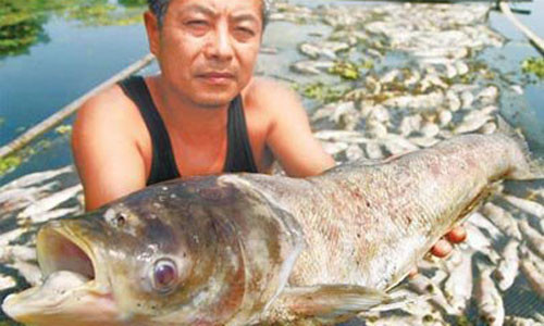 Nhung vu kien moi truong rung dong lich su nhan loai-Hinh-2