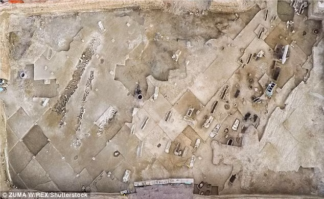 Nhiều bộ hài cốt được xếp thành hàng. Cho đến nay, các chuyên gia chưa thể lý giải vì sao những người này bị trói hai tay giơ cao lên trên đầu thay vì trói hai tay ra sau lưng.