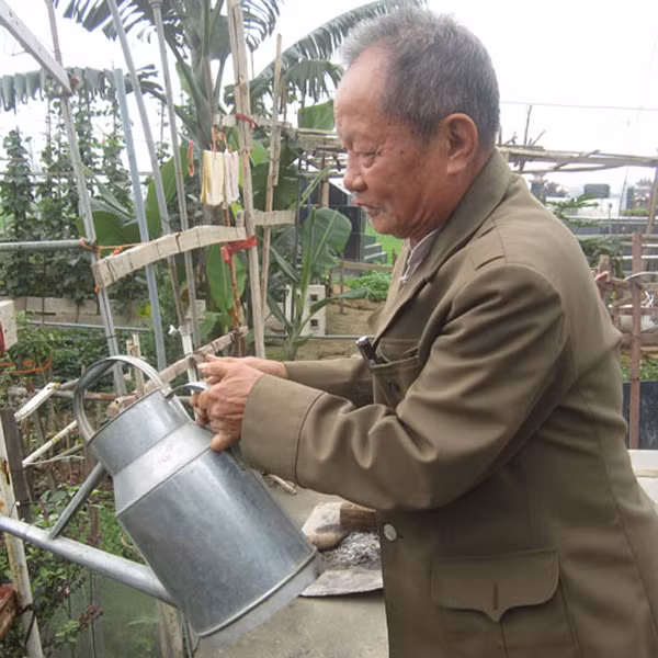 Mỗi ngày hai bận sáng và chiều ông ra khu mộ để trò chuyện với người vợ quá cố và tưới cây, tỉa hoa cho khu vườn thêm tràn đầy sức sống.