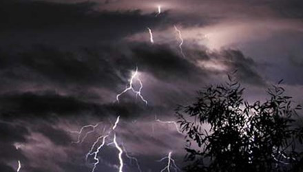 Đứng trú mưa dưới những gốc cây to hay đứng gần những vật to lớn, công trình to lớn như cột điện không phải là lựa chọn tối ưu. Bởi lẽ, những cây to đó có thể hút tia điện và khiến bạn gặp nguy hiểm.