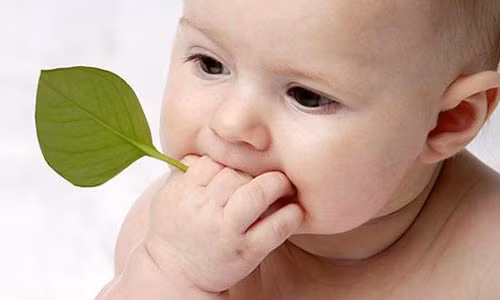 Ngay sinh tien tri gi ve van menh tron doi?