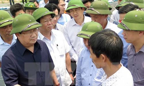 Ca chet trang bien mien Trung: Se chinh thuc ket luan trong tuan nay