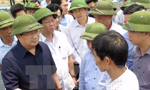 Ca chet trang bien mien Trung: Se chinh thuc ket luan trong tuan nay