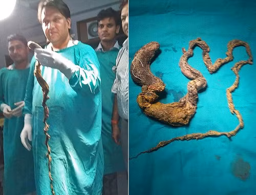 Bac si hot hoang gap cuc long meo trong...am dao-Hinh-3