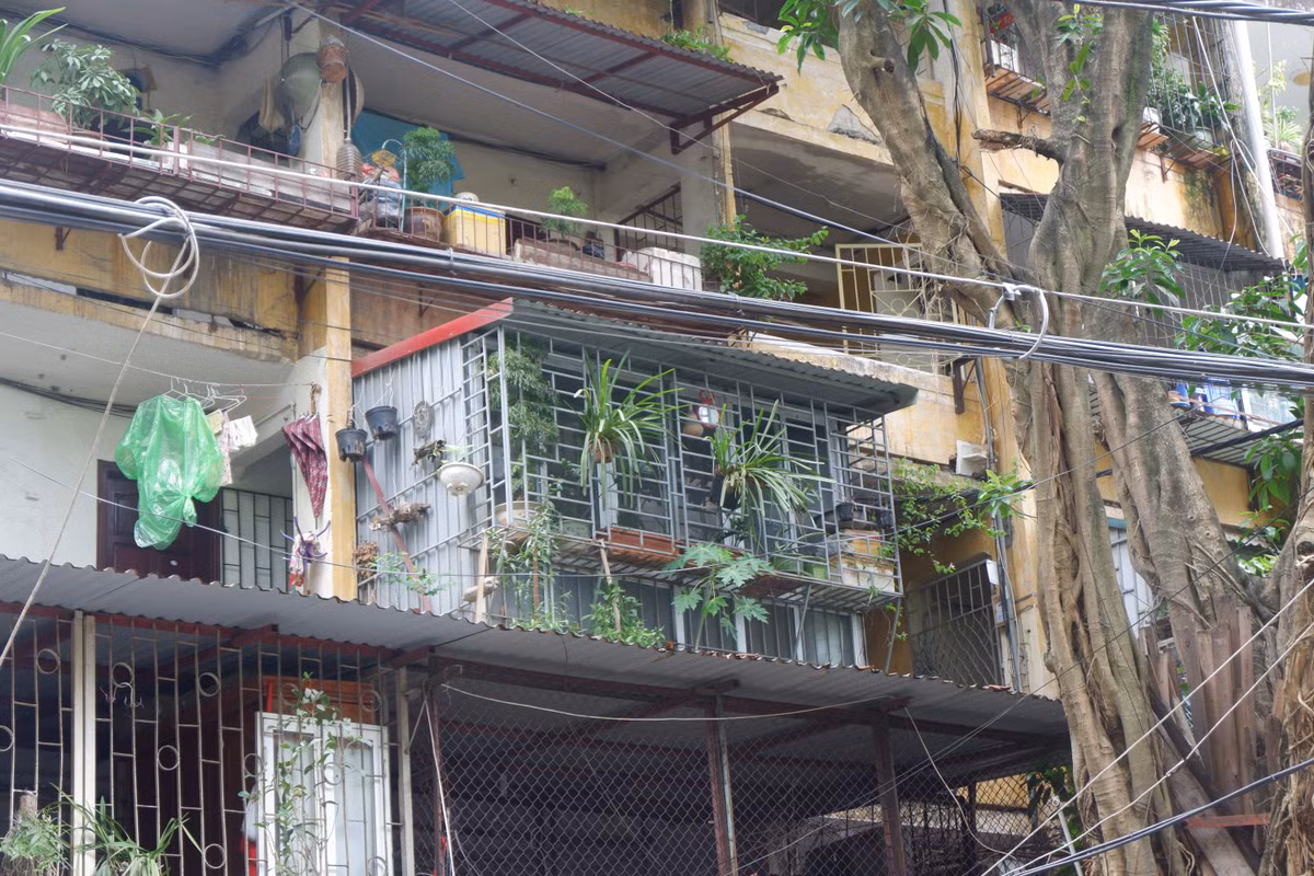 Ông Dũng cũng thừa nhận những "chuồng cọp" tiềm ẩn nguy cơ rất lớn ảnh hưởng đến tính mạng của người dân trong trường hợp xảy ra cháy nổ. Mặt khác, trong trường hợp xảy ra thiệt hại, địa phương sẽ phải chịu trách nhiệm.