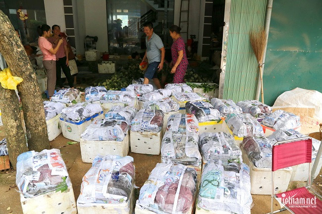 “Na bay” xuống núi bằng... cáp treo, bà con đút túi gần 800 tỷ - Hình 6 “Na bay” xuong nui bang... cap treo, ba con dut tui gan 800 ty-Hinh-6
