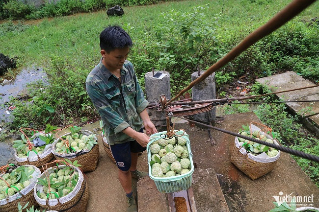 “Na bay” xuống núi bằng... cáp treo, bà con đút túi gần 800 tỷ - Hình 3 “Na bay” xuong nui bang... cap treo, ba con dut tui gan 800 ty-Hinh-3