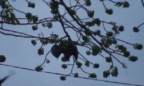 Doi dai chien qua de tranh gianh lanh tho