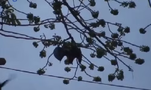 Doi dai chien qua de tranh gianh lanh tho