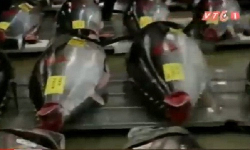 Ca ngu vay xanh gia 800 trieu dong gay soc