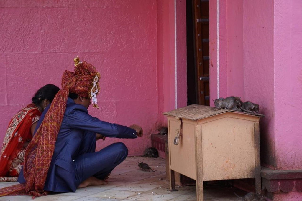 Khi đến đây, du khách phải đi nhẹ, nói khẽ để tránh làm kinh động đến lũ chuột. Đặc biệt, họ không được phép làm bất kỳ điều gì gây tổn hại đến chủ nhân của ngôi đền. Nếu làm chết một con, họ sẽ phải trả bằng một con chuột đúc bằng bạc.