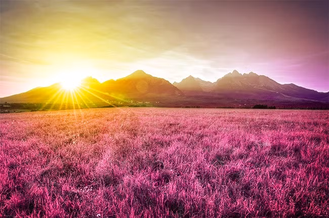 Trái Đất từng là "hành tinh tím" thay vì "hành tinh xanh" như chúng ta vẫn gọi ngày nay. Các loài thực vật cổ xưa từng sử dụng retinal thay vì chất diệp lục để quang hợp khiến chúng hấp thu ánh sáng màu xanh lá cây và phản chiếu màu đỏ và xanh da trời tạo thành màu tím.