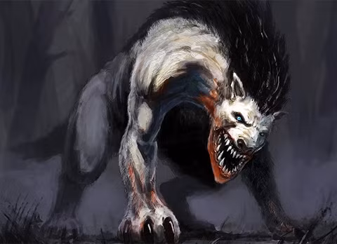 Không chỉ tấn công gia súc, quái thú vùng Gevaudan còn nhắm mục tiêu tới cư dân địa phương. Nó ẩn nấp, rình rập con mồi rồi bất ngờ lao ra tấn công, sát hại người dân một cách rùng rợn.