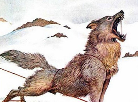 Sau một thời gian săn lùng dấu vết của quái thú bí ẩn, các thợ săn bỏ cuộc vì không thể bắt hoặc bắn hạ nó.