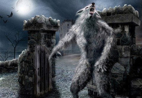 Từ đó cho đến nay, sinh vật đáng sợ vùng Gevaudan vẫn là một bí ẩn lớn. Người ta không biết nó là loài nào cũng như vì sao nó biến mất một cách kỳ bí.