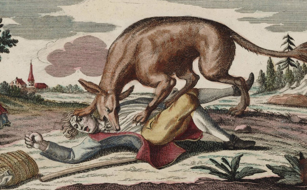 Trước sự việc này, nhà vua Pháp khi đó đã cử những thợ săn giỏi nhất đất nước tới vùng Gevaudan để "tóm" quái thú bí ẩn. Trong số này có những thợ săn nhiều kinh nghiệm.