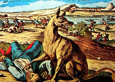 Một quái thú bí ẩn đã trở thành nỗi ám ảnh kinh hoàng đối với người dân ở vùng Gevaudan, Pháp vào thế kỷ 19. Sinh vật này được các nhân chứng mô tả có những đặc điểm khống chó sói, sư tử, gấu, báo đốm... Thế nhưng, không ai thực sự biết nó là loài động vật nào.