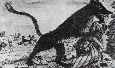 Dần dần, số vụ tấn công do quái thú này giảm đi và người dân trở lại cuộc sống bình thường.